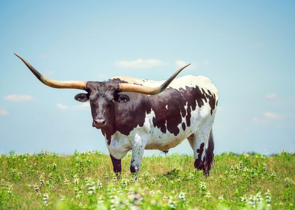 Texas: Deaf Smith